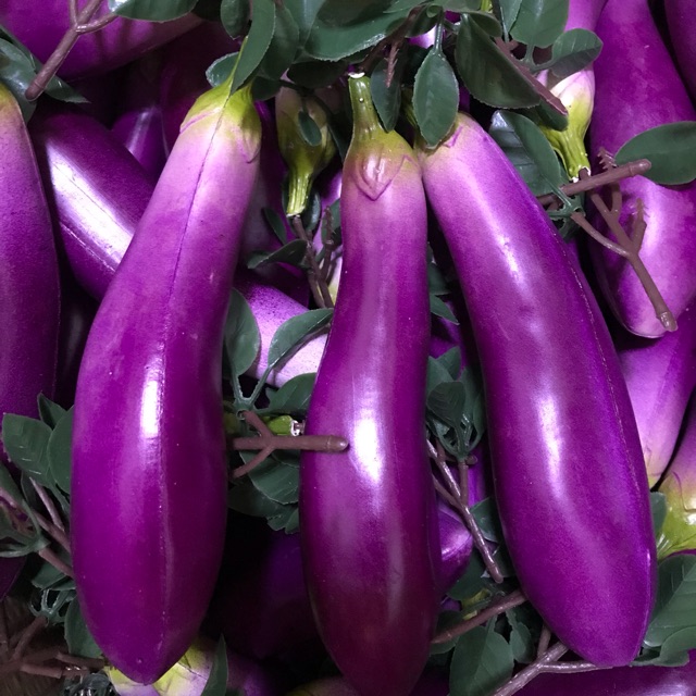 โมเดลมะเขือม่วงปลอม ผักปลอม