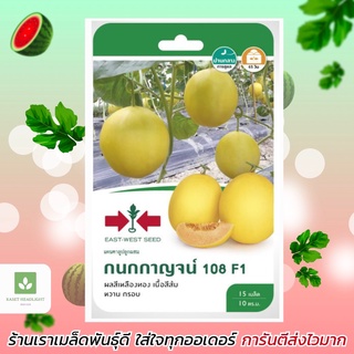 แคนตาลูป กนกกาญจน์ สีเหลืองทอง 15เมล็ด ศรแดง