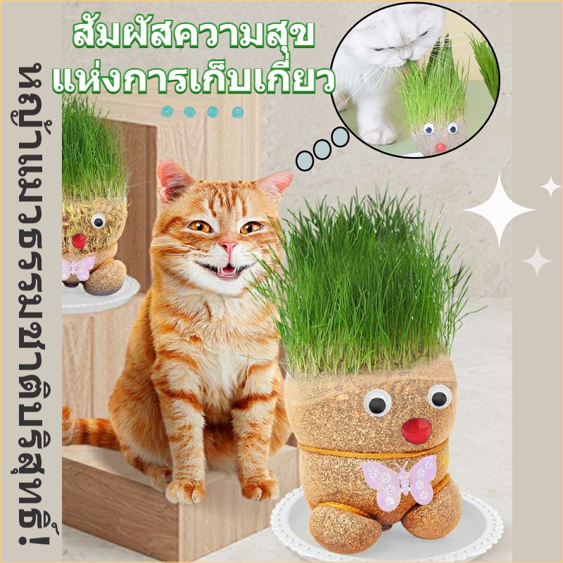 ตุ๊กตาหัวหญ้า หญ้าแมวธรรมชาติแท้ ตุ๊กตาหญ้าแมว ขนมแมว หญ้าแมวอินทรีย์ หญ้าข้าวสาลี