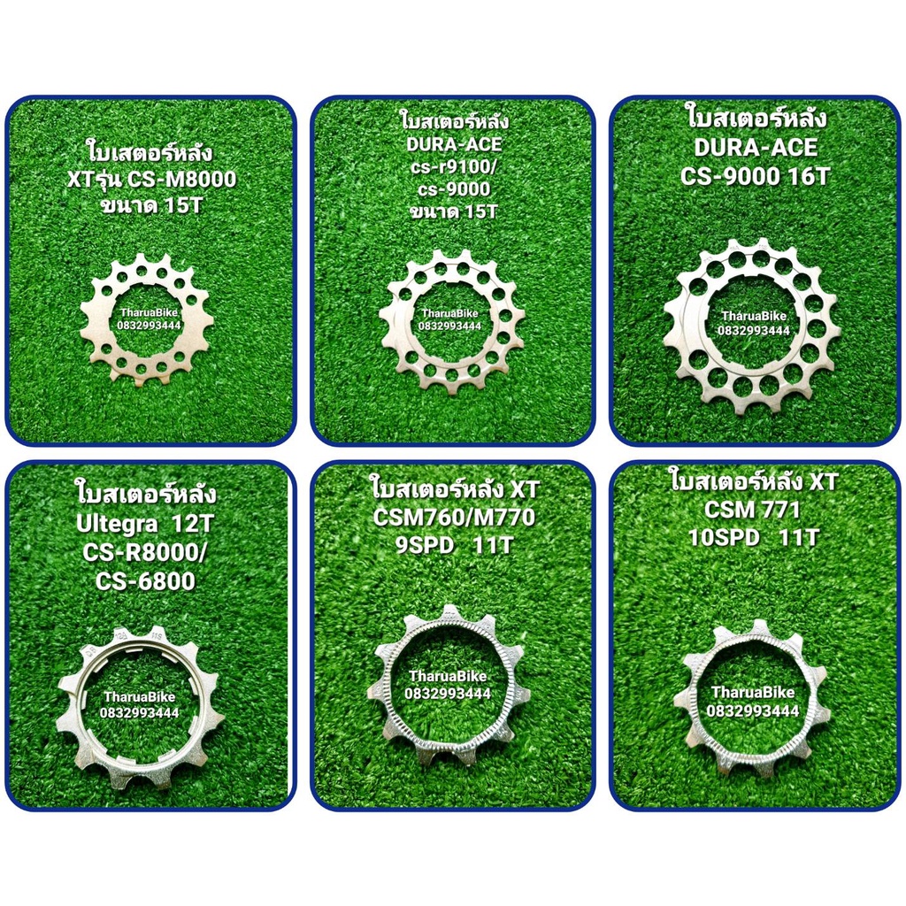 ใบสเตอร์หลังจักรยาน SHIMANO DURA-ACE / ULTEGRA / XT  ใบเฟืองหลัง