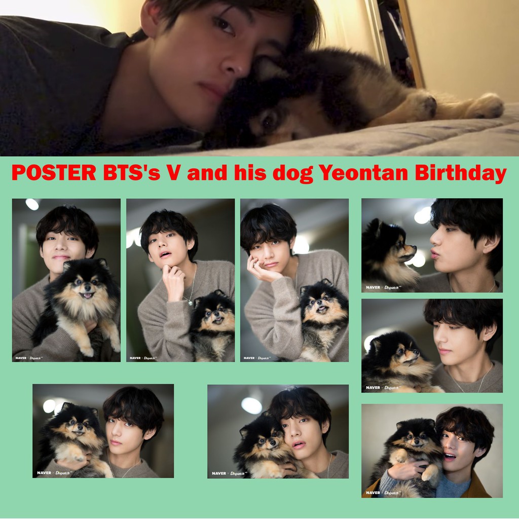 Bts& 39;s V และโปสเตอร์สุนัขของเขา Yeontan Birthday