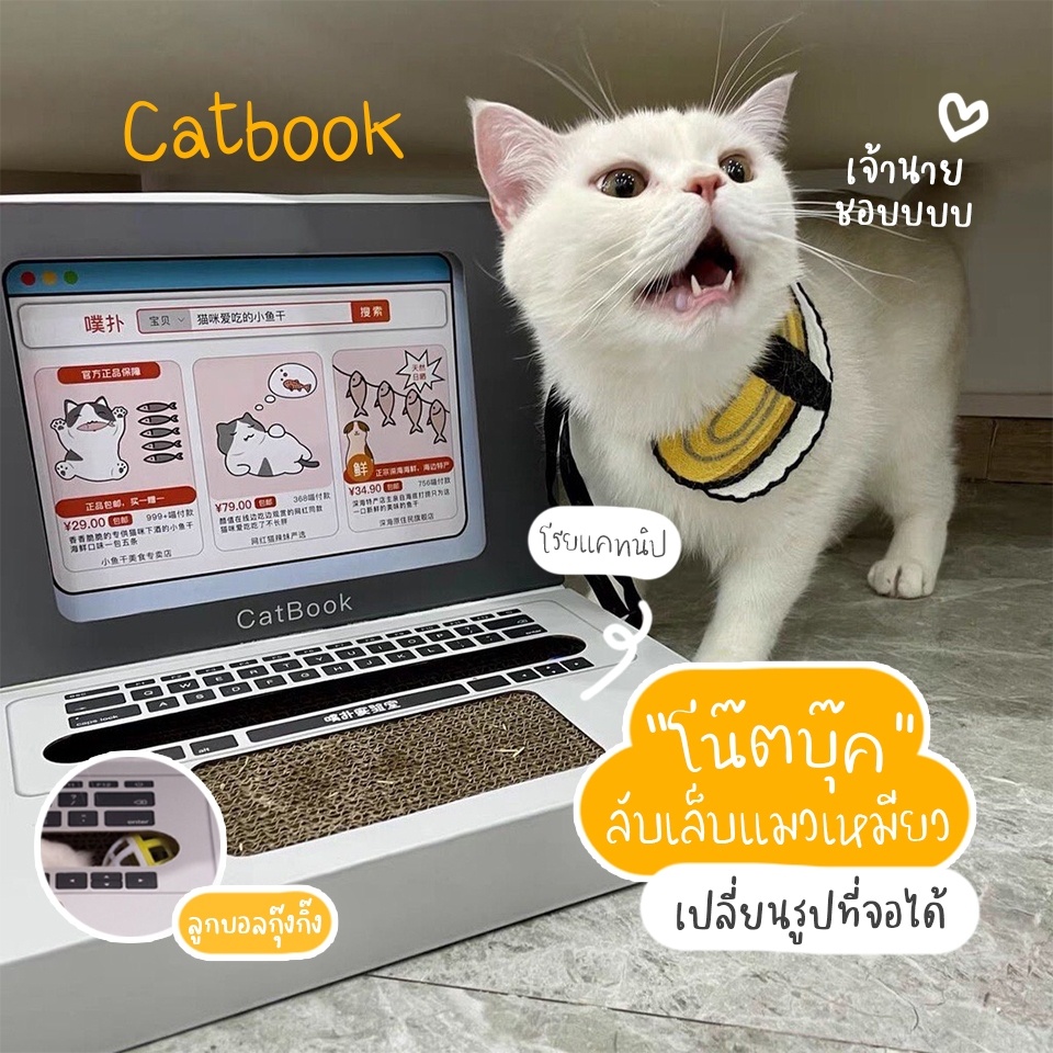 BoomBoom Catbook ที่ลับเล็บแมว โน๊ตบุ๊คที่ลับเล็บ ที่ลับเล็บแมว ราคาถูก โซฟาที่ลับเล็บแมว กระดาษลูกฟ