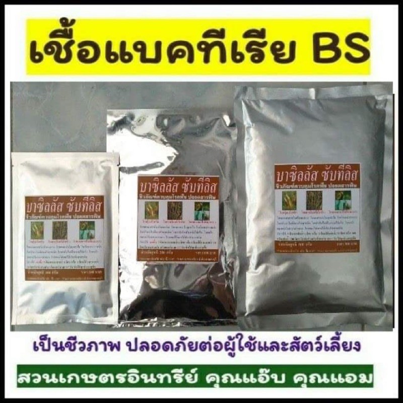 หัวเชื้อ บีเอส , บาซิลลัส ซับทีลิส , BS ขนาด 100-500 กรัม ป้องกัน กำจัดเชื้อรา รากเน่า โคนเน่า ใบไหม้ แคงเกอร์ กุ้งแห้ง