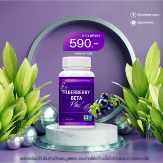 Elderberry Beta Plus เสริมภูมิต้านไวรัส สารต้านอนุมูลอิสระสูงสุด100%