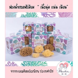 ฟองน้ำออแกนิก kalla sponge