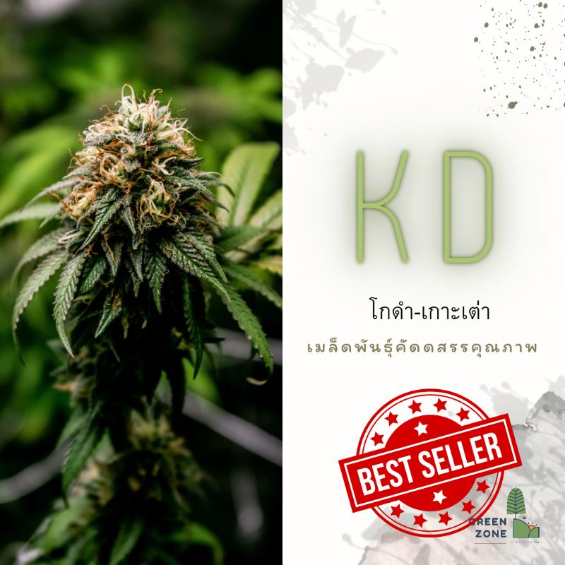 KDKT KD เกาะเต่า กลิ่นหอมมาก - greendener - ThaiPick