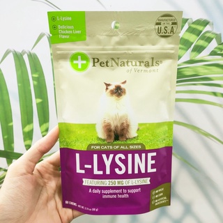 วิตามินเสริมภูมิต้านทาน สำหรับแมว L-Lysine 250 mg 60 Chews 90g Chicken (Pet Naturals®)