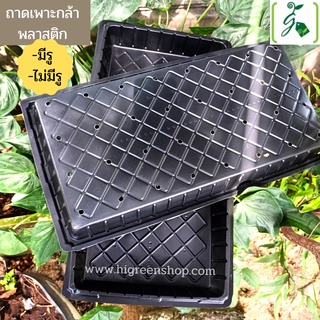 ถาดเพาะกล้าพลาสติก แพ็ค 2 ถาด