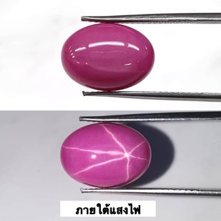 สตาร์ แดง ทับทิม. Red Star Ruby Corundum. มีหลายขนาด. (ขายเป็นเม็ด)