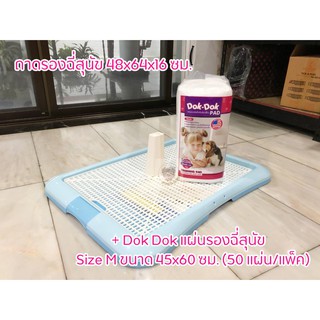 ถาดรองฉี่สุนัข ห้องน้ำสุนัข Dog Toilet 48x64x16 ซม. + Dok Dok แผ่นรองฉี่สุนัข Size M ขนาด 45x60 ซม. (50 แผ่น/แพ็ค)