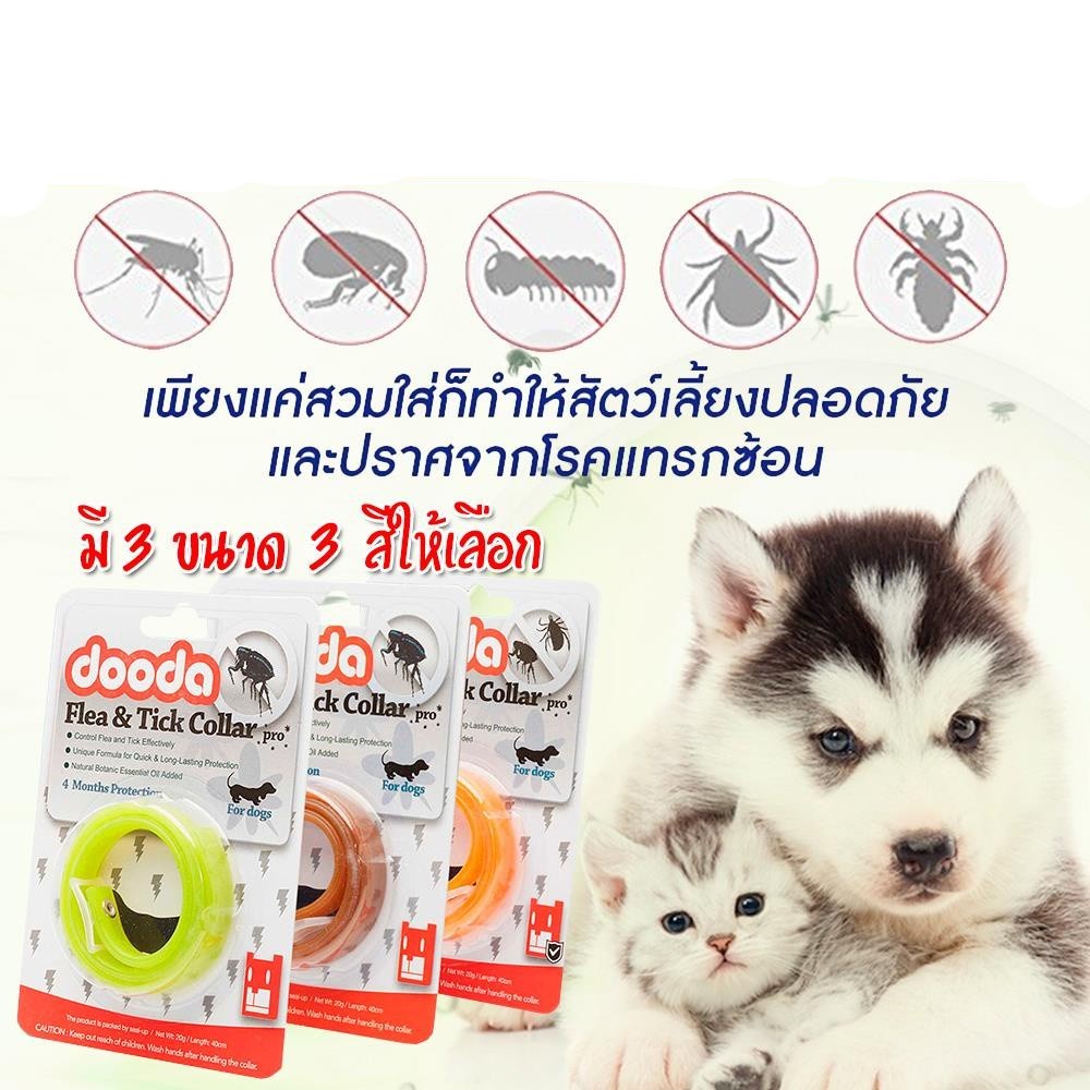 ปลอกคอ ป้องกันเห็บหมัด ยุง และแมลง สำหรับสุนัข 60 cm. รุ่น Dooda Flea & Tick Collar Pro-6July-J1