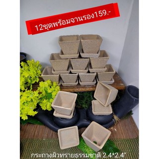 กระถางจิ๋วผิวทรายธรรมชาติ2.4*2.4"พร้อมจานรอง12ชุด