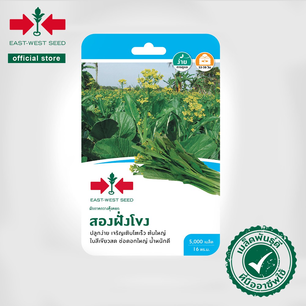 ศรแดง เมล็ดพันธุ์ผักกวางตุ้งดอก สองฝั่งโขง (East-West Seed) เมล็ดพันธุ์ผัก เมล็ดพันธุ์ ผักสวนครัว ตราศรแดง