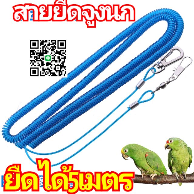 เชือกจูงสัตว์เลี้ยง นกแก้วทุกชนิด 5 เมตร (1 ชิ้น)