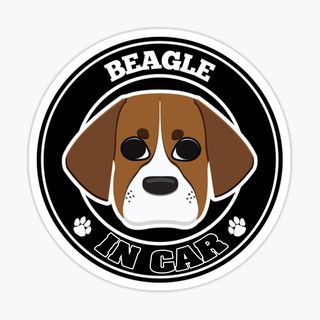 สติ๊กเกอร์ติดรถ แต่งรถ สติ๊กเกอร์ แม่เหล็กติดรถยนตร์ สติ๊กเกอร์หมา Beagle in Car  - DGC17