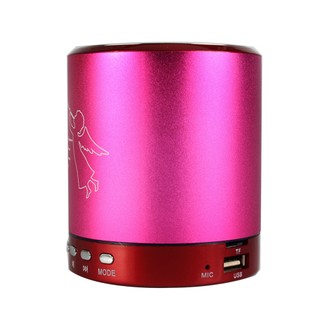 TOP T-2020 + FM,USB (Pink)