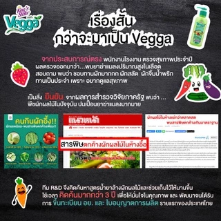 Vegga(เวจก้า) น้ำยาล้างผัก น้ำยาล้างผลไม้ ล้างสารตกค้างได้ถึง 90% Vegga เวจก้า 2500ml.