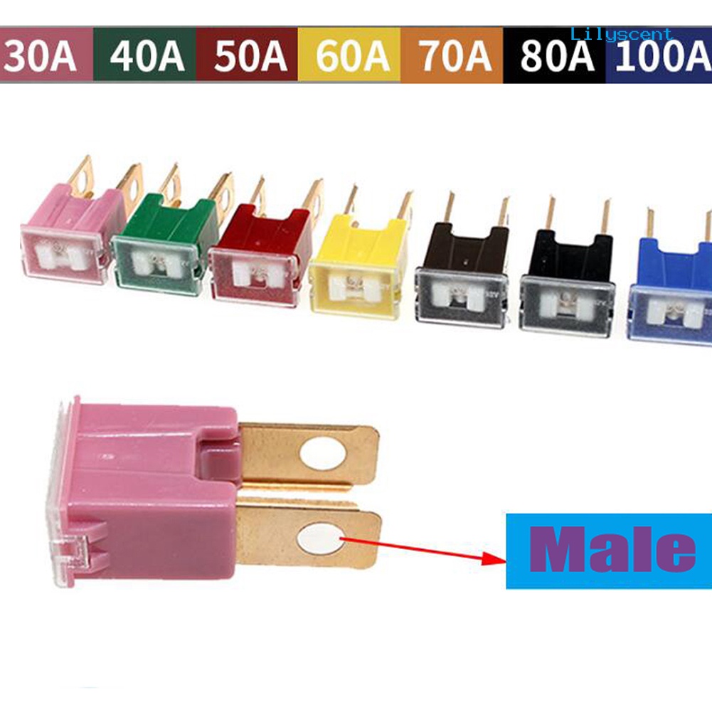 100A 80A 70A 60A 50A 40A 30A PAL Male Slow Car Auto Fuse Mazda