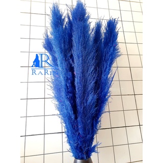 Rarin ดอกเลาย้อม (สีน้ำเงิน) (จำนวน 10 ก้าน) ขนาด 90 cm. เป็นดอกไม้ธรรมชาติ ดอกฟุ้งฟิ้ง ใช้ประดับห้อง ร้าน งานแต่ง DIY