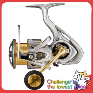 DAIWA LT4000-CXH Spinning Reel 21 Freams [Seabass, Light Shore Jigging, Surf, SLJ, Cherry Trout, etc.]