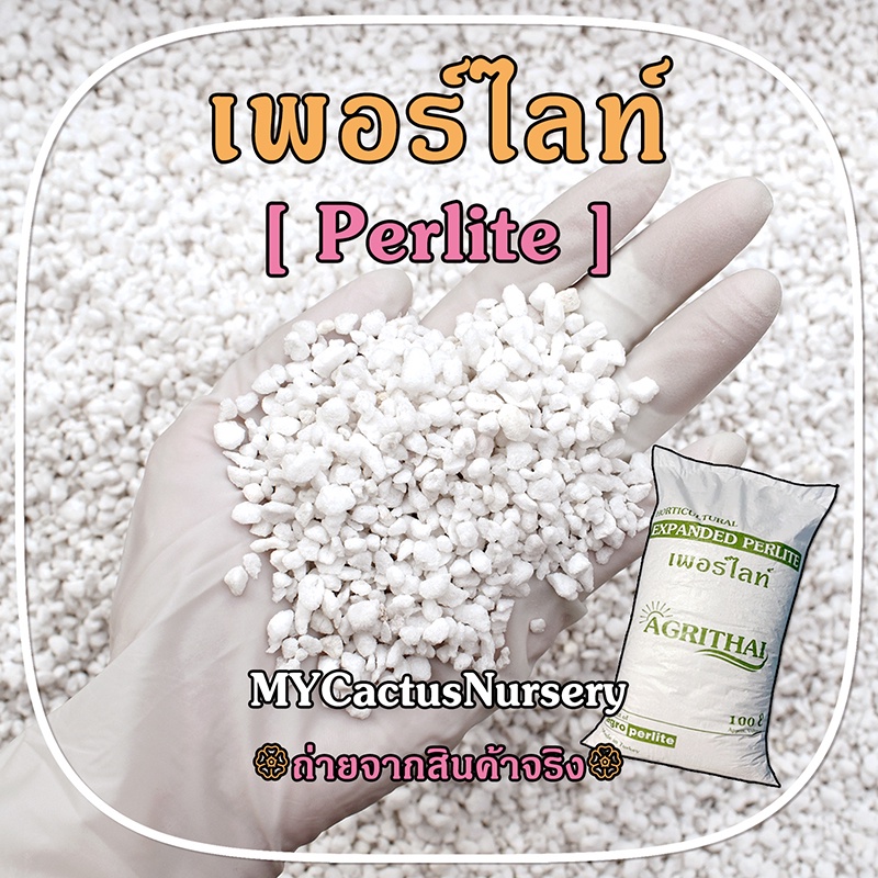 เพอร์ไลท์ (Perlite) นำเข้าจากประเทศตุรกี วัสดุปลูก ต้นกล้า แคคตัส ไม้ประดับ ผักไฮโดรโปนิกส์ แบ่งบรรจุ 3 ขนาด 1 ลิตร/3ลิ