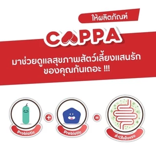 Pawly Cappa (สำหรับแมว) ดูแลลำไส้ เสริมภูมิ ขับถ่ายดี ลดกลิ่นมูล - [1กระปุก - 30แคปซูล]