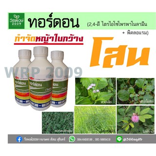 ทอร์ดอน 1 ลิตร กำจัดโสน กำจัดหญ้าในนาข้าว