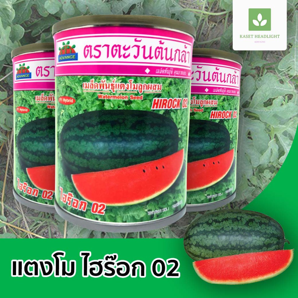 ไฮร๊อค 02 แตงโมตอปิโด เมล็ดพันธุ์แตงโม ตอปิโด ไฮรอค ไฮร็อก 02