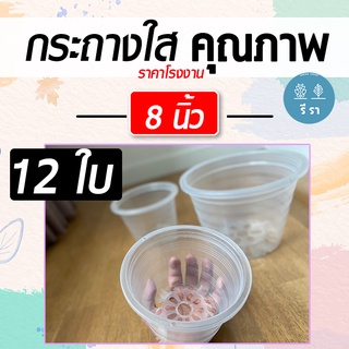 กระถางใส 8 นิ้ว ราคาส่ง แพ็ค 12 ใบ / กระถาง กระถางพลาสติก กระถางต้นไม้ กระถางต้นไม้พลาสติก กระถางราคาถูก