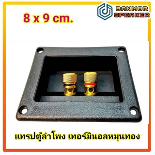 แทรปลำโพง ไบติ้งบอร์ดตู้ลำโพง สี่เหลี่ยม  ขนาด 8 * 9 cm แกนหมุนทองเหลือง