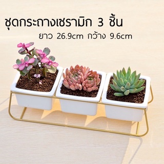 ชุดกระถางเซรามิก 3 ชิ้น โครงสีทอง