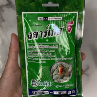 sjcactus สตาร์เกิลจี ขนาด100กรัม 40บาท เก็บปลายทางได้