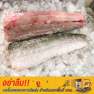 [พร้อมส่ง] เนื้อปลานํ้าดอกไม้(กก) ปลาสาก ขนาด 1 กก./แพ็ก