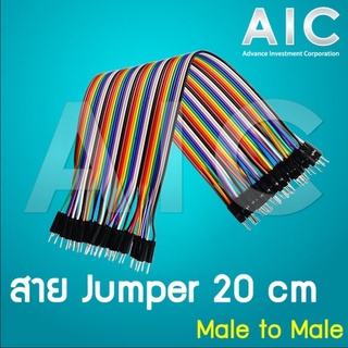 สาย Jumper 20 cm Male to Male @ AIC ผู้นำด้านอุปกรณ์ทางวิศวกรรม