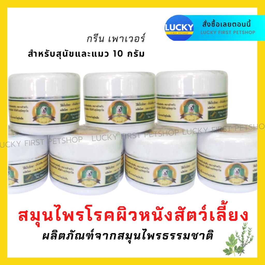 ครีมสมุนไพรโรคผิวหนังสุนัข แมว ทาเชื้อรา ทาแก้คัน เก่า ขนร่วง ผื่นแดง กรีนเพาเวอร์ มีให้เลือกทั้งของสุนัขและแมว