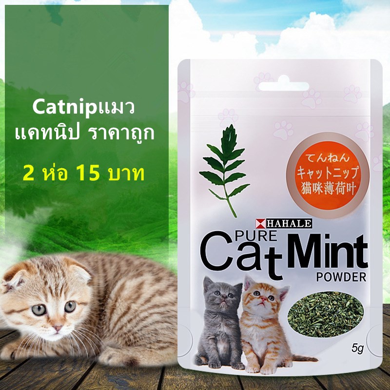 Catnip แคตนิป สมุนไพรแมว 5 กรัม / ถุง ผงแคทนิป กัญชาแมวกัญชาแมว แคทนิป ราคาถูก Cat Mint