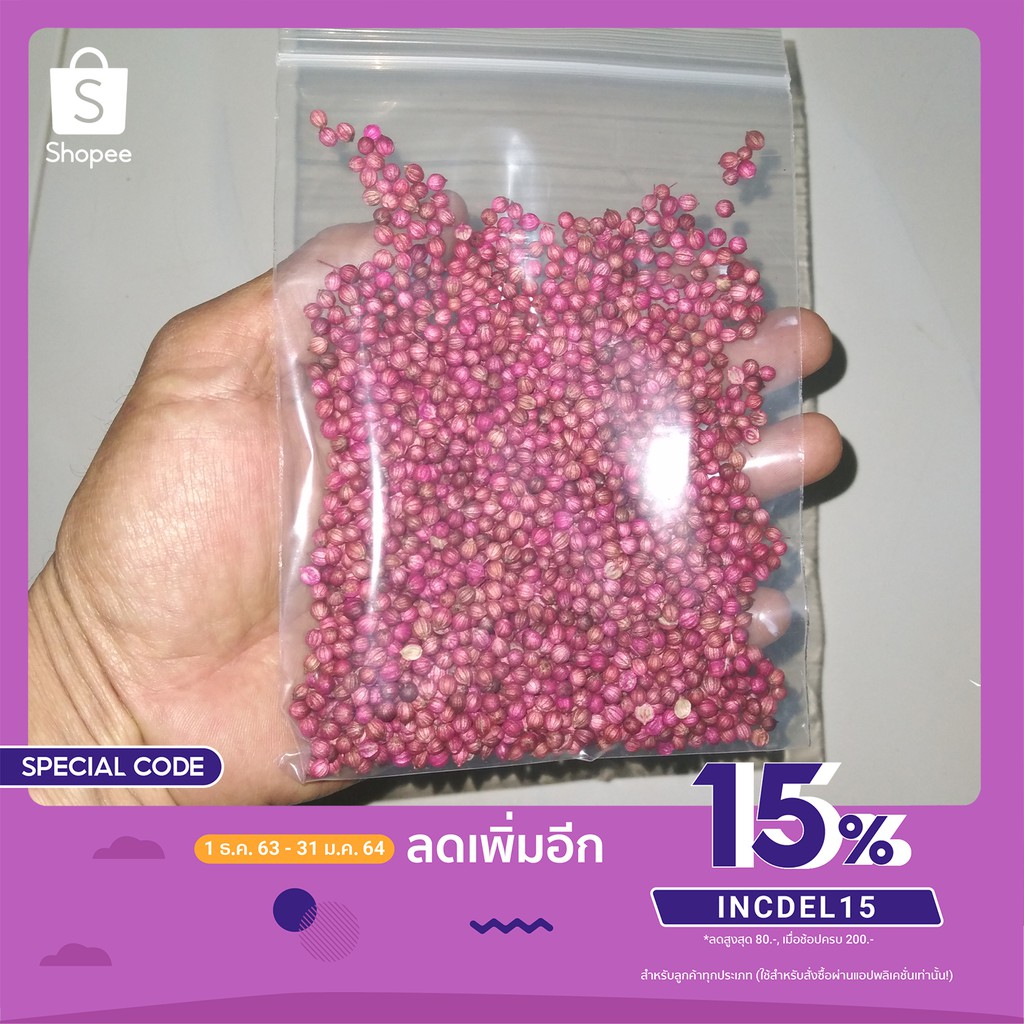 เมล็ดผักชีพันธ์ดี ขนาด 40 กรัม ปลูกพอกินในครัวเรือน ไม่ต้องกลัวหมดอายุ ปลูกเท่าที่ได้ ในเนื้อที่จำกัด