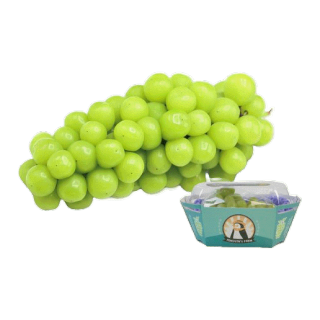 โปรโมชั่น : องุ่นไชน์มัสแคทธรรมดา 1 กล่อง สายพันธ์ุญี่ปุ่น Shine Mascat Grape ผลไม้ fruit Freshliving