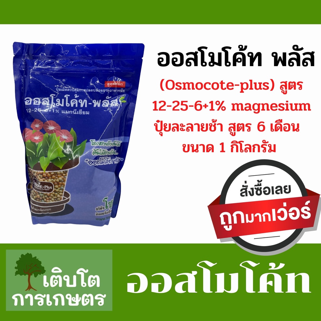ออสโมโค้ทสูตร12-25-6+1% magnesium ปุ๋ยละลายช้าขนาด 1 กิโลกรัม
