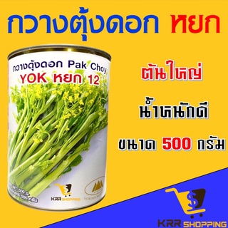 เมล็ดพันธุ์กวางตุ้งดอก หยก 12 ตราภูเขา ขนาด 500 กรัม กวางตุ้งดอก เมล็ดกวางตุ้ง เมล็ดกวางตุ้งดอก หยก