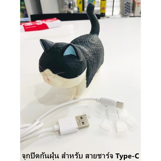 จุกปิดกันฝุ่น สำหรับ สายชาร์จ Type-C