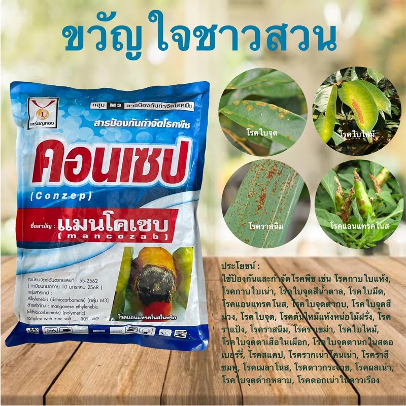 คอนเซป 1 กิโลกรัม แมนโคเซบ (เนื้อเขียว) ยาป้องเชื้อราในพืช กันพริกเน่า ใบไหม้ ใบจุด ใบเป็นสนิม รากเน่า ดอกเน่า