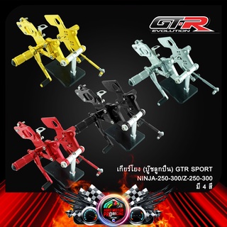 เกียร์โยง (บู๊ชลูกปืน) GTR SPORT NINJA-250-300/Z-250-300