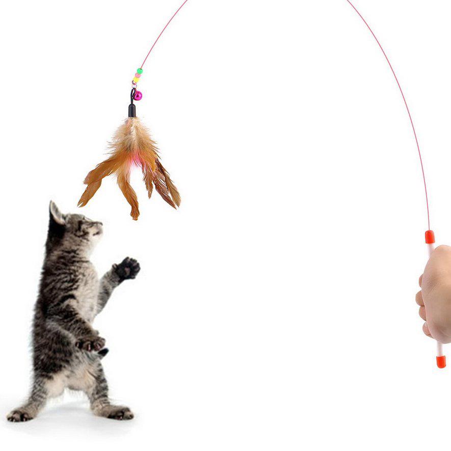 ของเล่นแมว ลูกปัดขนนกของเล่นสำหรับแมวสัตว์เลี้ยง