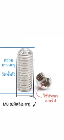 สกรูตัวหนอน สแตนเลส M8 เกลียว 1.25 ยาว 8 - 55 มิล