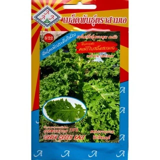 (เลือกชนิดได้) เมล็ดพันธุ์ คะน้าเคล Kale เคล ใบหยิก สการ์เล็ตเคล บลูเคล ไดโนเคล เคลไซบีเรียน เคลรัสเซียน เคลม่วง scarlet
