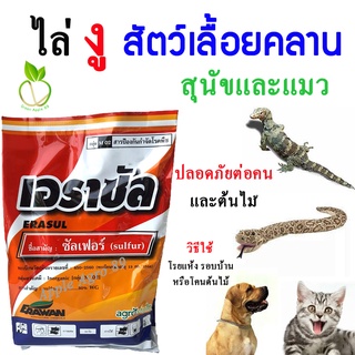 สารไล่งู  กำมะถันเนื้อทอง (ขนาด 1 กิโล) ไล่งู ไล่สัตว์เลื้อยคลาน ไล่สัตว์  สารไล่แมว  ไล่แมวฉี่ ไล่แมว ไล่สุนัข ไล่หมา