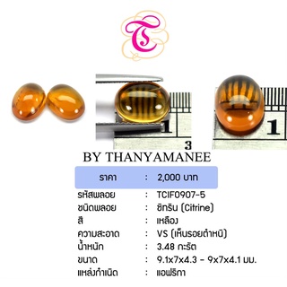 พลอยซิทรีนหลังเบี้ย Citrine ขนาด 9.1x7.0x4.3,9.0x7.0x4.1 มม. พลอยแท้ มีใบรับรอง