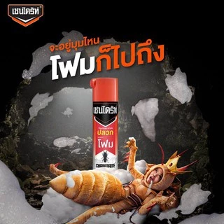 เชนไดร้ท์ โฟม Chaindrite Form ผลิตภัณฑ์กำจัดปลวก แมลงสาบ มด แบบเนื้อโฟม ขนาด 250 ml.