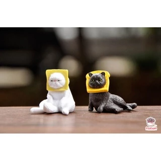 แมวหน้าขนมปัง [ เซต 4 ชิ้น ] ตุ๊กตาจิ๋ว โมเดลจิ๋ว แต่งสวน